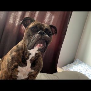 Meet your Posher, Lori